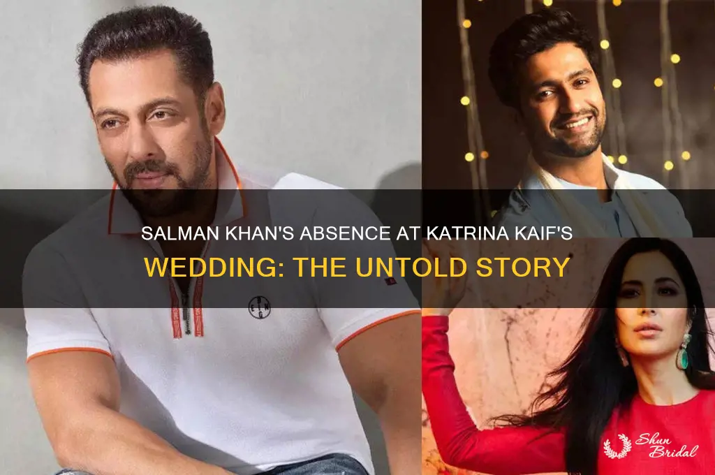 did salman khan go to katrina kaif wedding