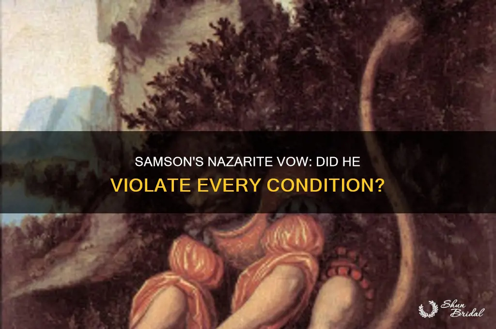 did samson break all the conditions of his nazarite vow