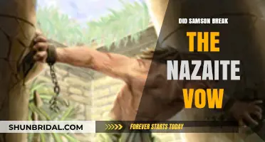 Did Samson Violate the Nazirite Vow? Exploring Biblical Interpretations