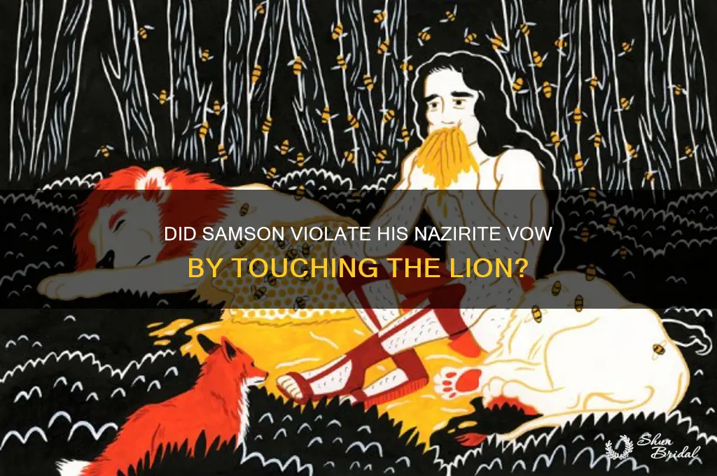 did samson break the nazarite vow by touching the lion