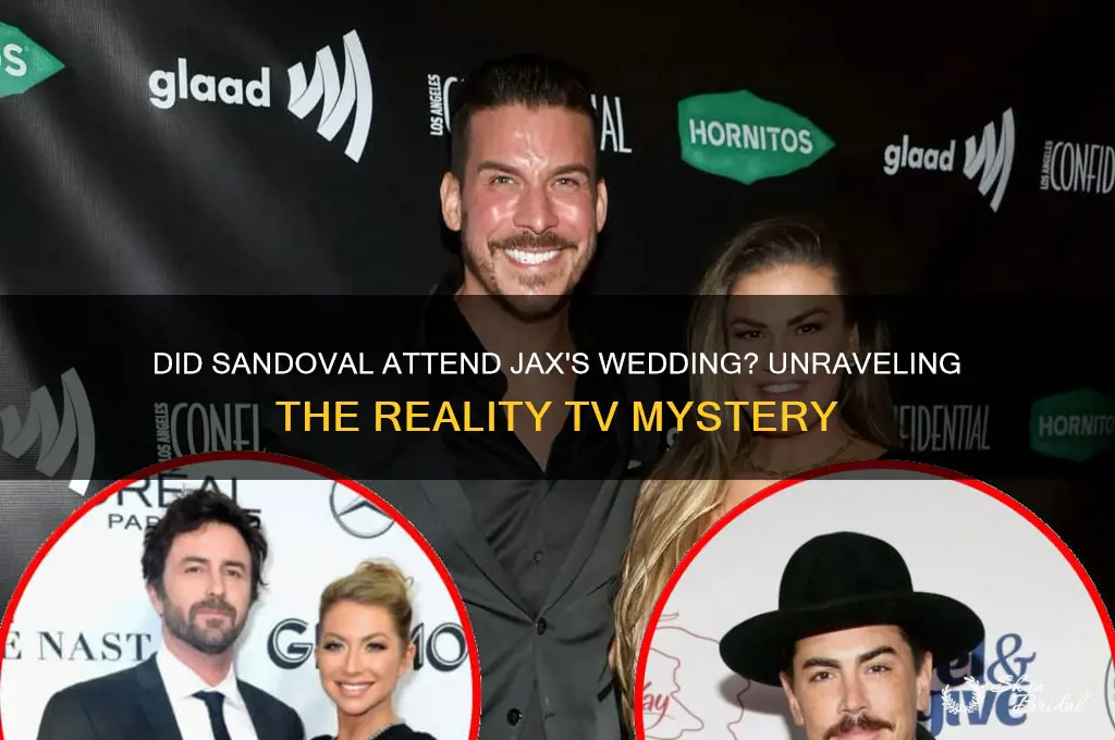 did sandavol go to jax wedding