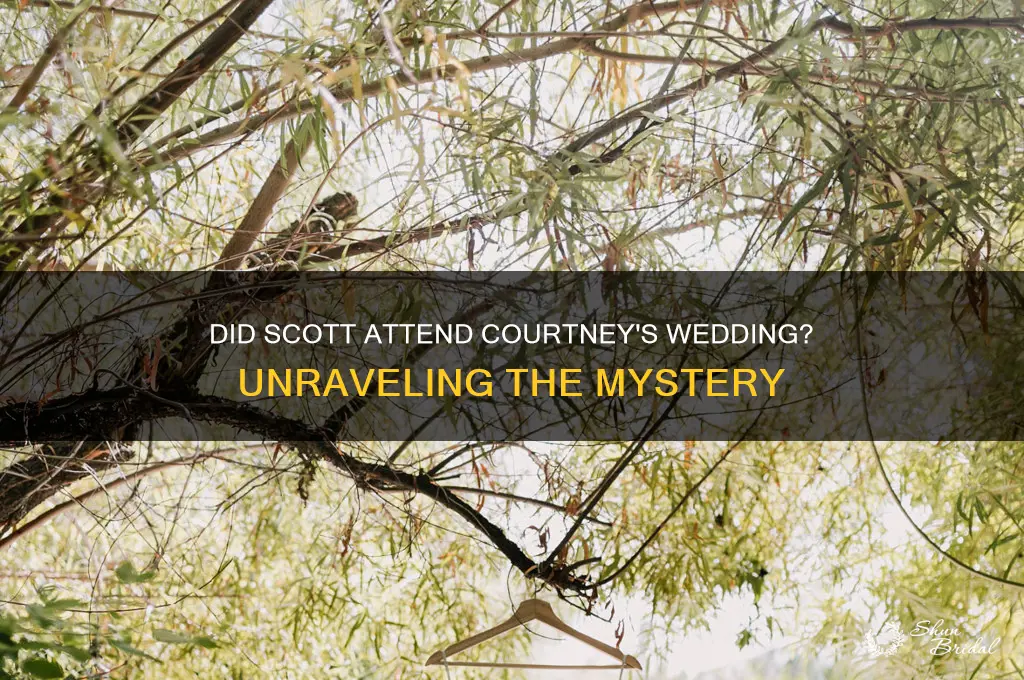 did scott go to courtney