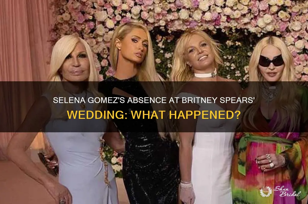 did selena gomez go to britney spears wedding
