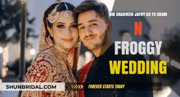 Shahveer Jafry's Absence at Sham and Froggy's Wedding Explained