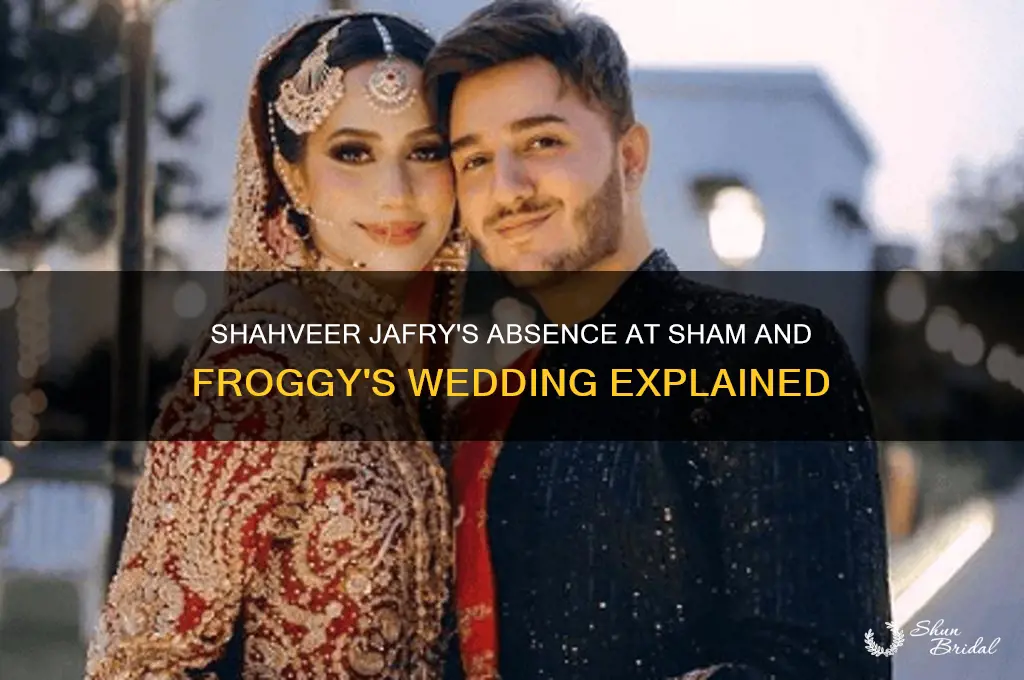 did shahveer jafry go to sham n froggy wedding