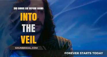 Sirius Black's Fate: Did He Face the Veil Before Dying?