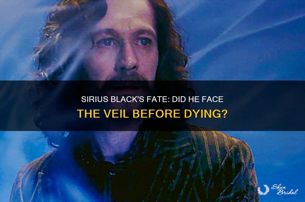 did sirius die before going into the veil
