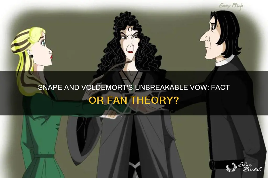 did snape and voldemort make an unbreakable vow