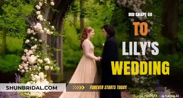 Snape's Absence: Did He Attend Lily's Wedding to James?