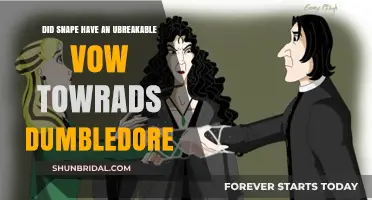Snape's Unbreakable Vow: Loyalty to Dumbledore Explored