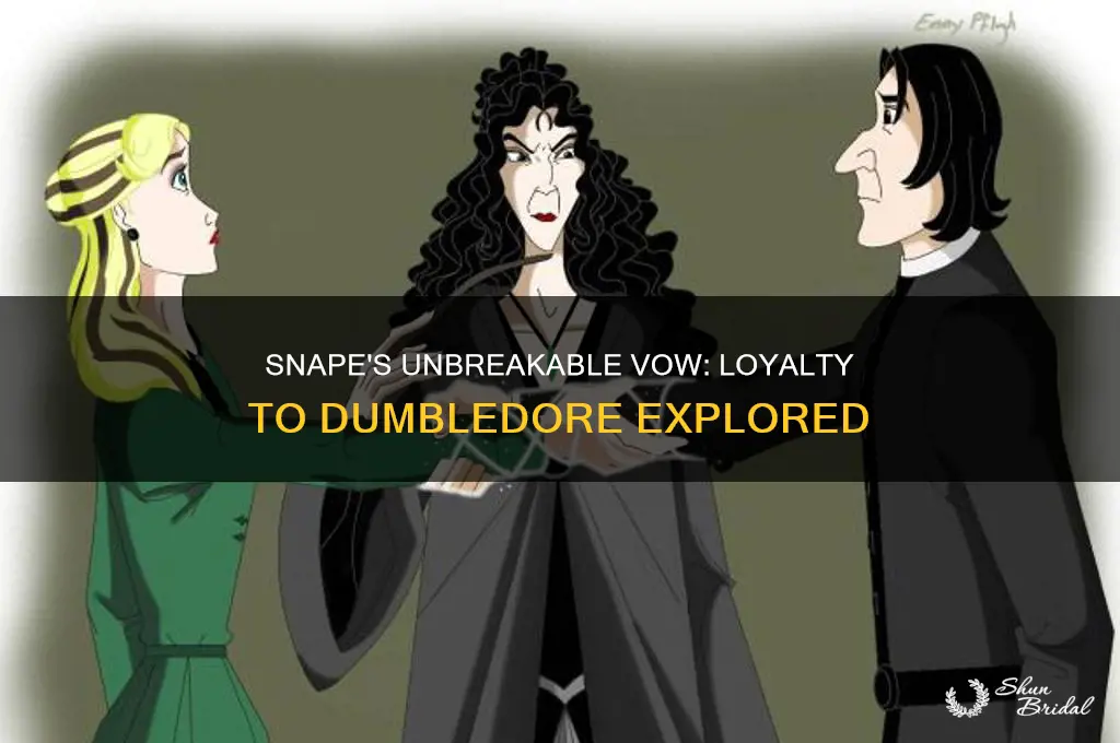 did snape have an ubreakable vow towrads dumbledore