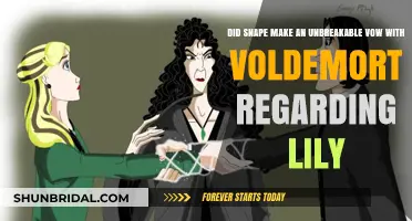 Snape's Unbreakable Vow: Protecting Lily from Voldemort's Wrath?