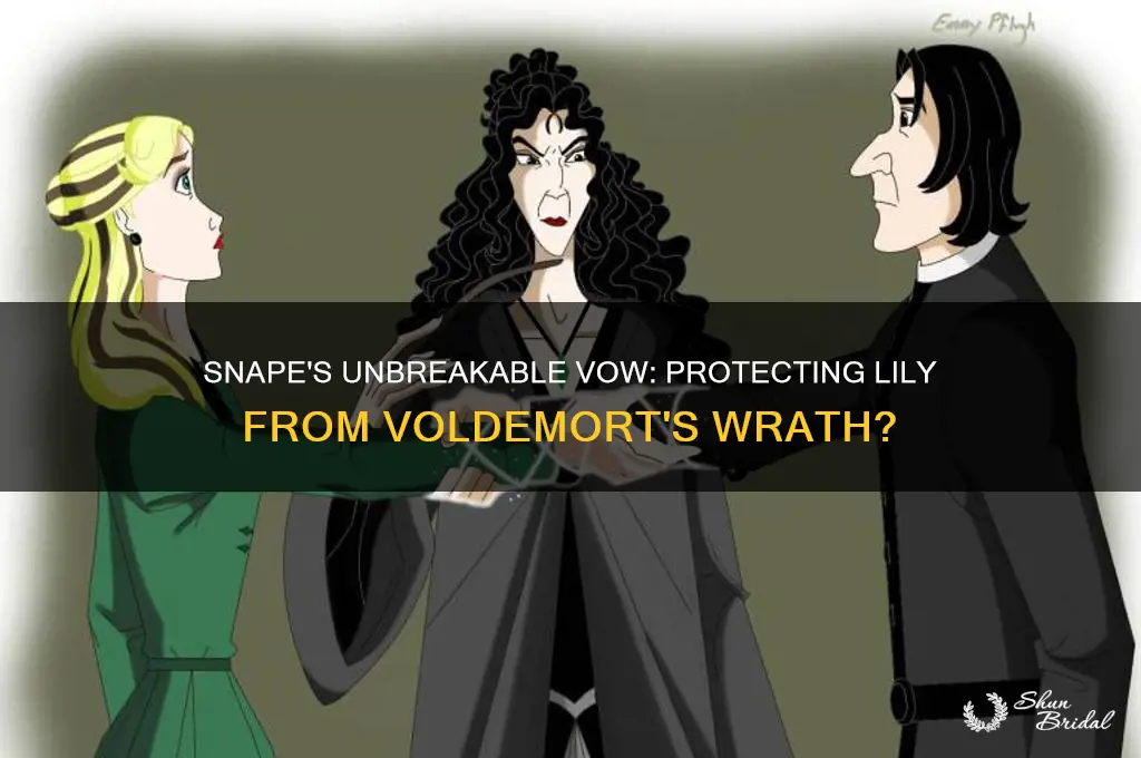 did snape make an unbreakable vow with voldemort regarding lily