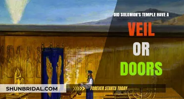 Solomon's Temple: Veil, Doors, or Both? Unraveling the Mystery