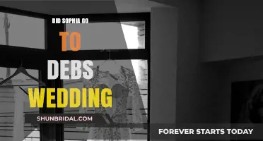 Sophia's Absence: The Mystery of Deb's Wedding Attendance