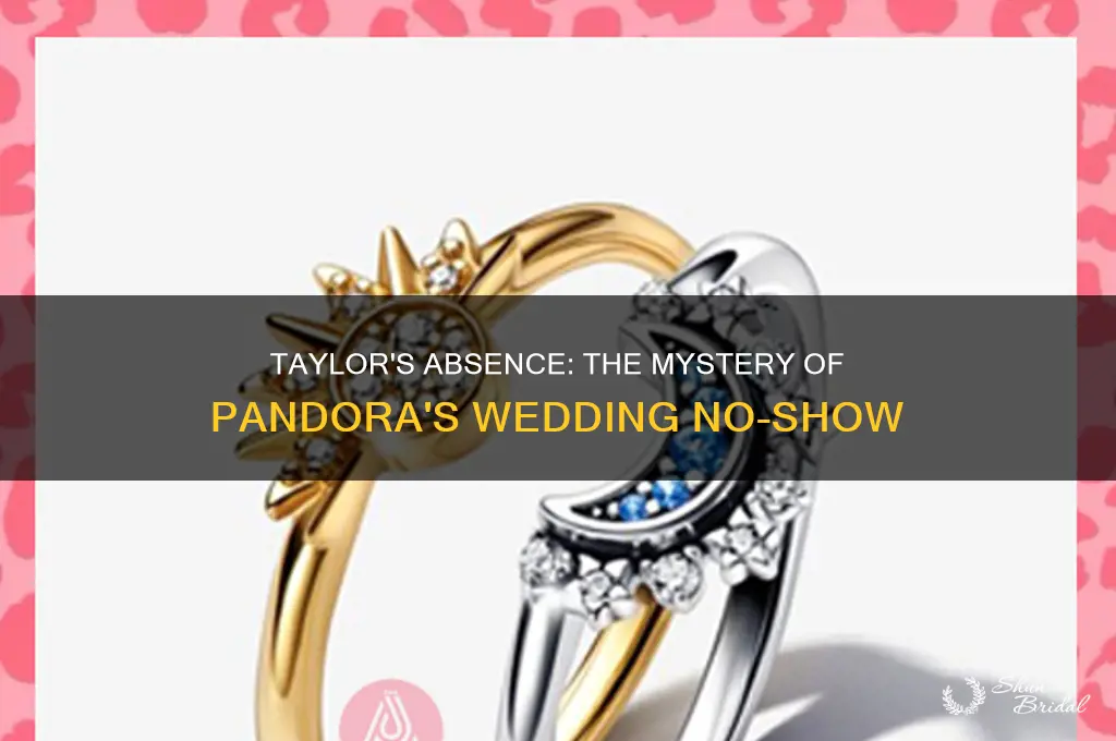 did taylor not go to pandora
