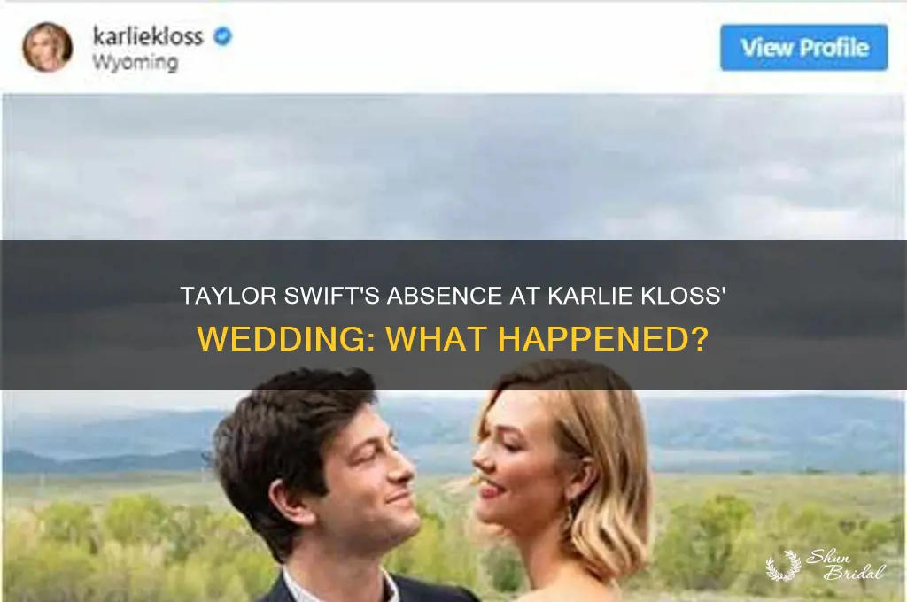 did taylor swift go to karlie kloss wedding