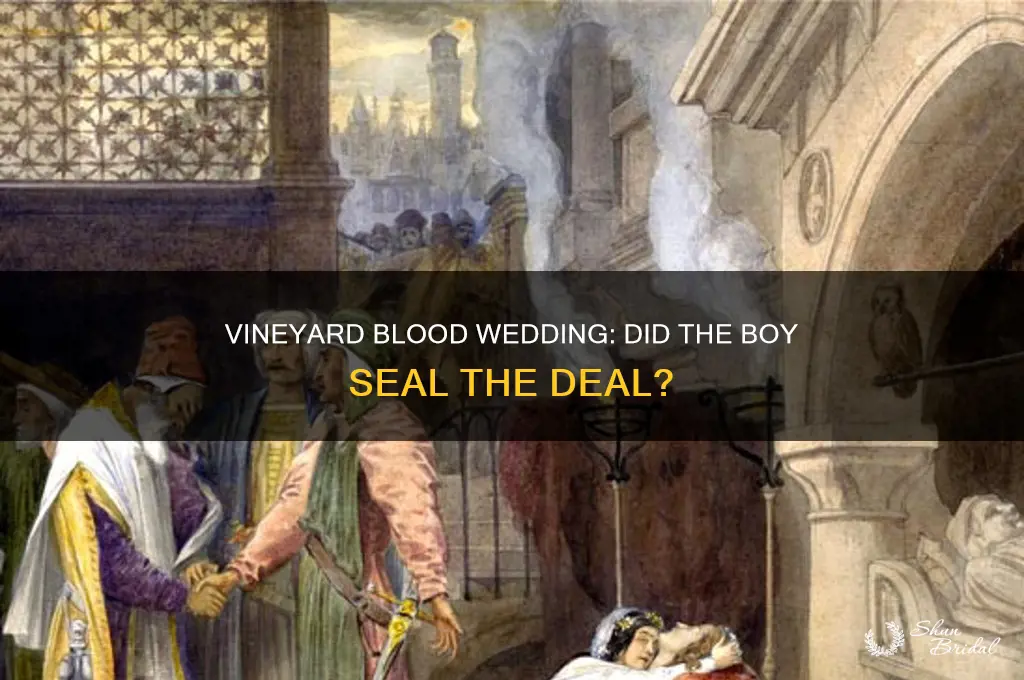 did the boy buy the vineyard blood wedding