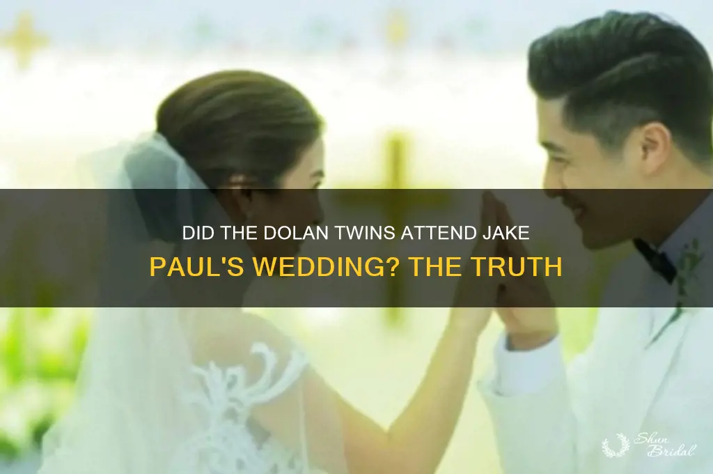 did the dolan twins go to jake paul