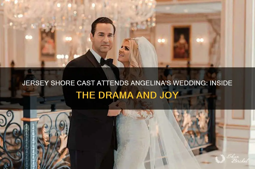 did the jersey shore cast go to angelina