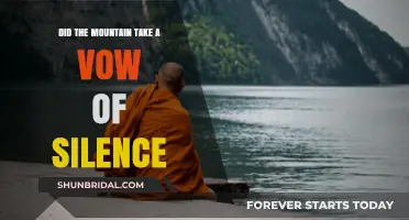 Did The Mountain Take a Vow of Silence?