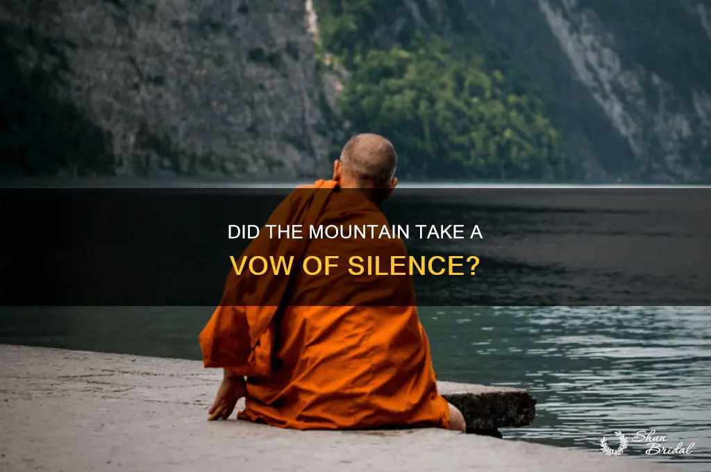 did the mountain take a vow of silence