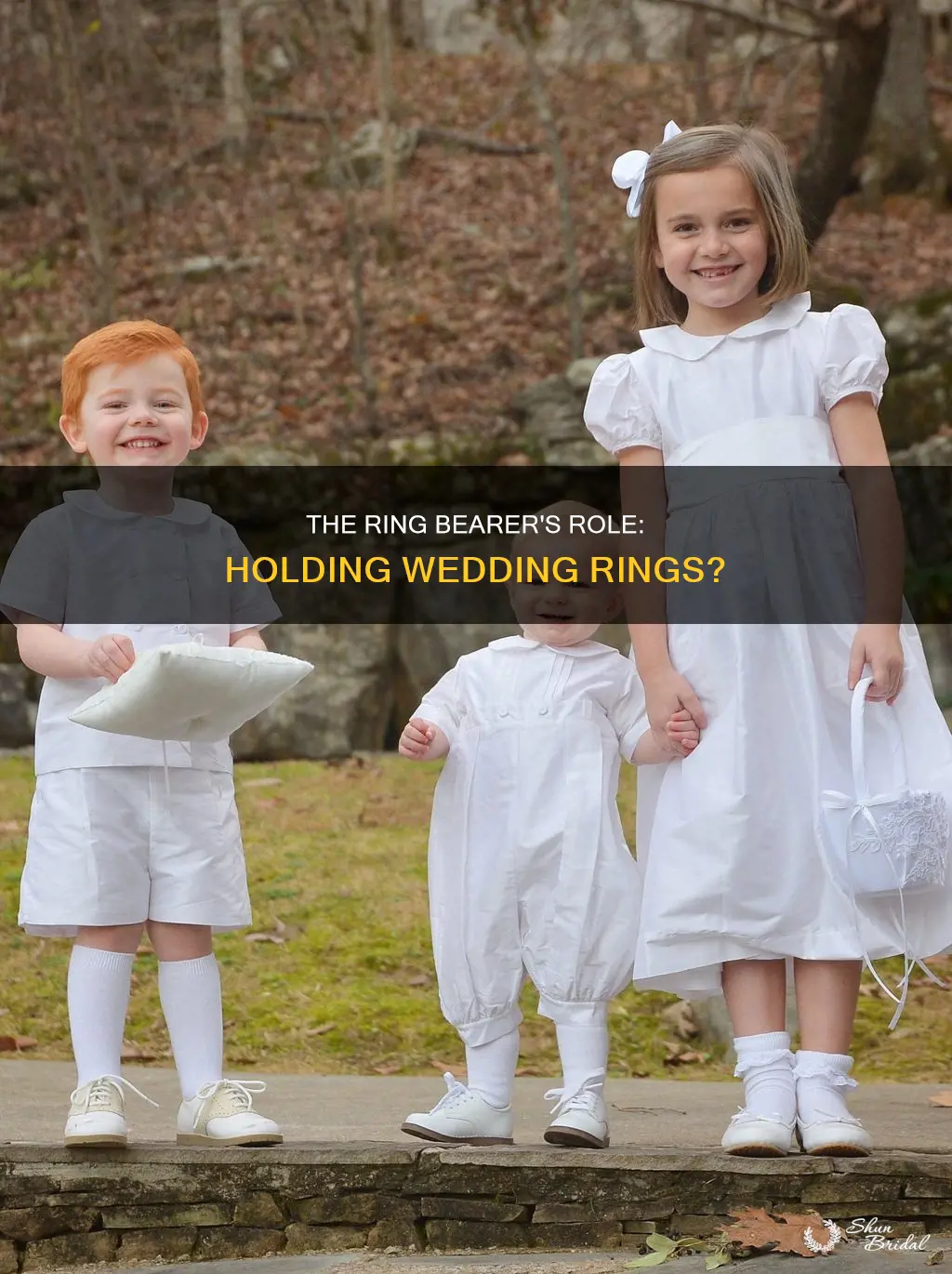 did the ring bearer hold the wedding rings