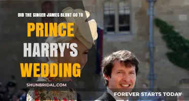 James Blunt's Attendance at Prince Harry and Meghan's Royal Wedding