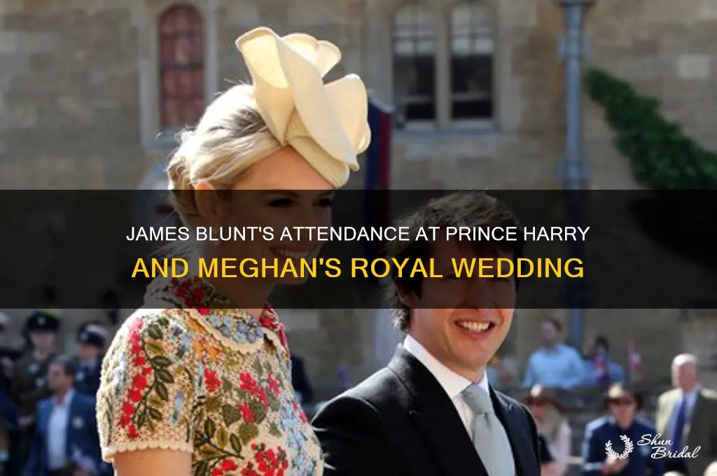 did the singer james blunt go to prince harry