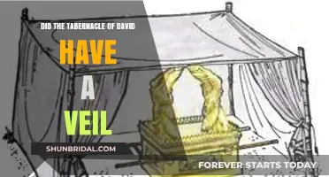Did the Tabernacle of David Include a Veil? Exploring Historical Insights