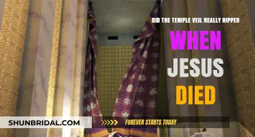 The Temple Veil's Ripping: Fact or Fiction at Jesus' Death?