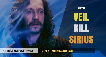 Did the Veil Cause Sirius Black's Tragic Demise?
