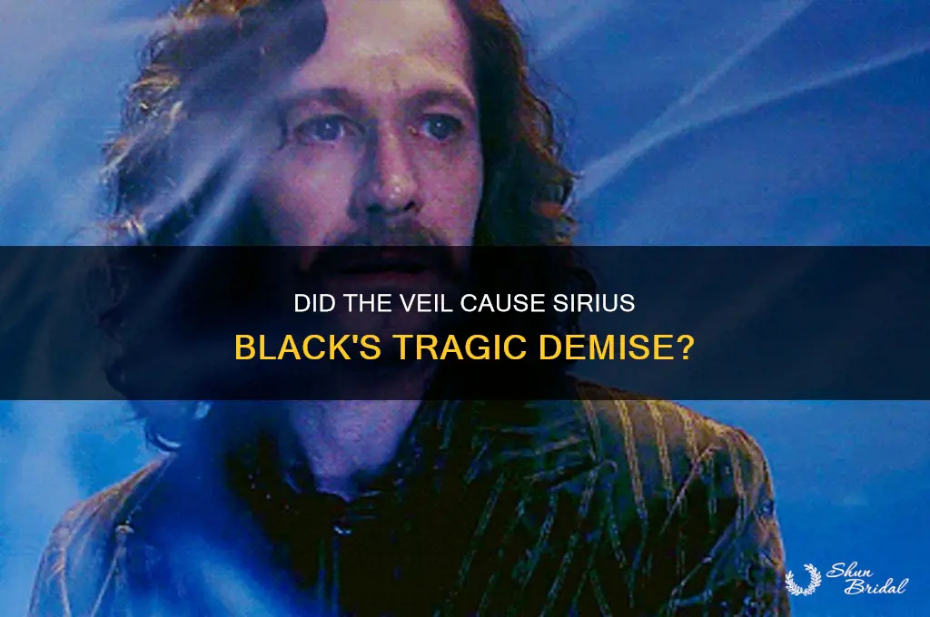 did the veil kill sirius