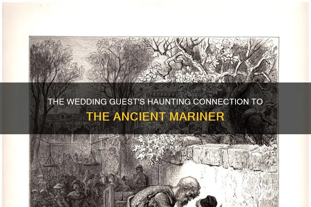 did the wedding guest relate to the ancient mariner