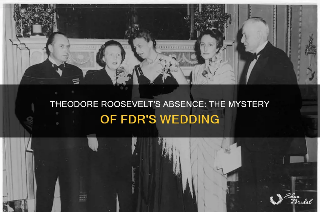 did theodore roosevelt go to fdr wedding