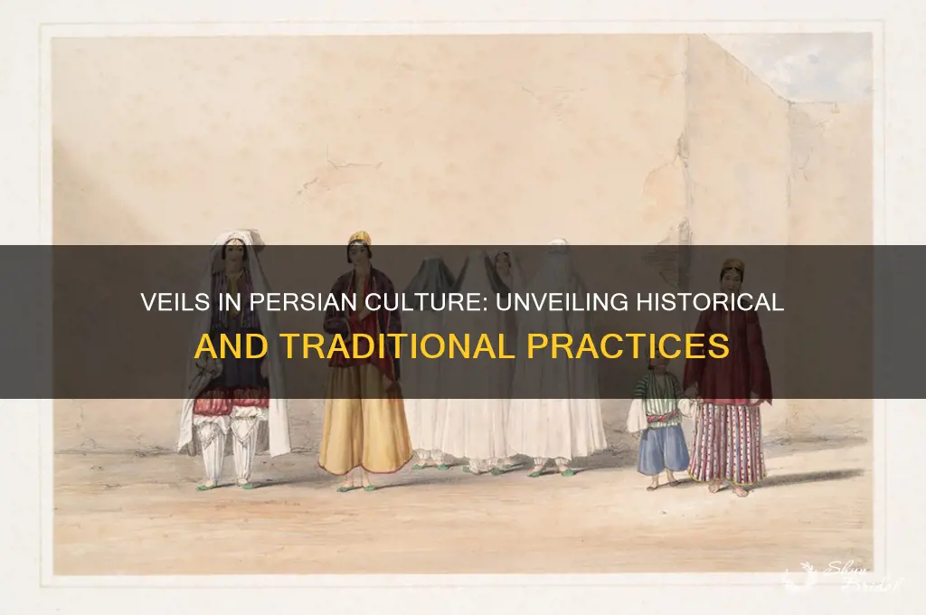 did they wear veils in persian culture