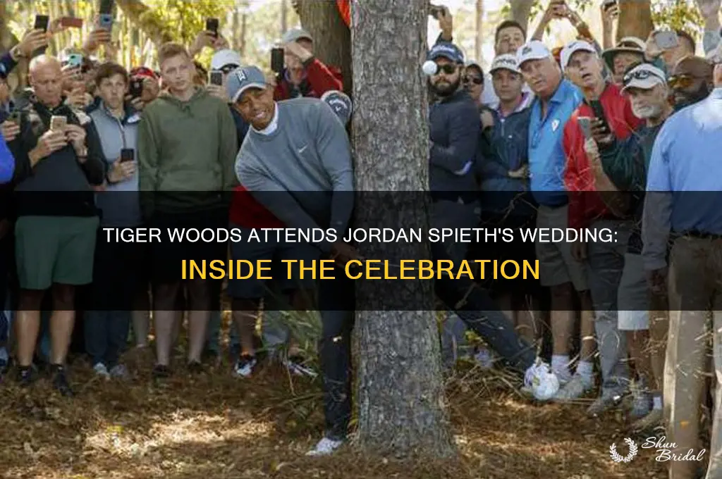 did tiger go to jordan spieth wedding