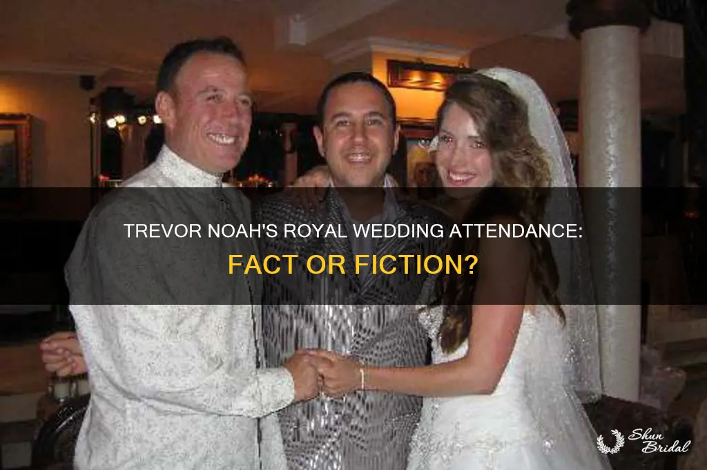 did trevor noah attend the royal wedding