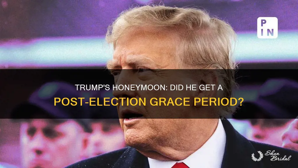 did trump get a honeymoon period after the election