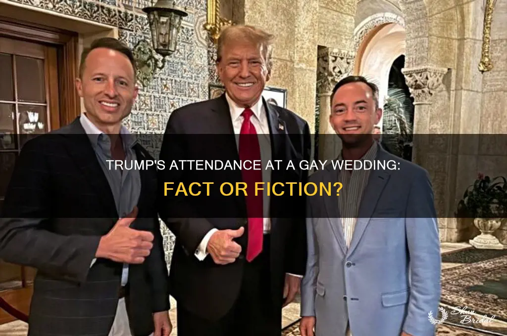 did trump go to a gay wedding
