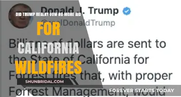 Trump's California Wildfire Aid Vow: Fact-Checking the Controversial Claim