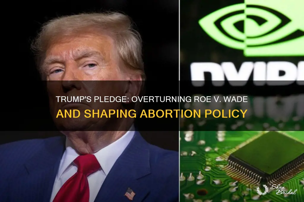 did trump vow to get rid of roe vs wade