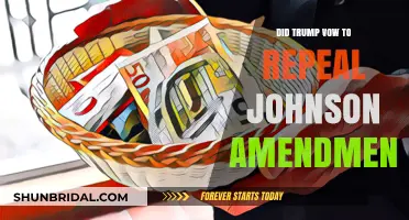 Trump's Pledge: Repealing the Johnson Amendment - Fact or Fiction?