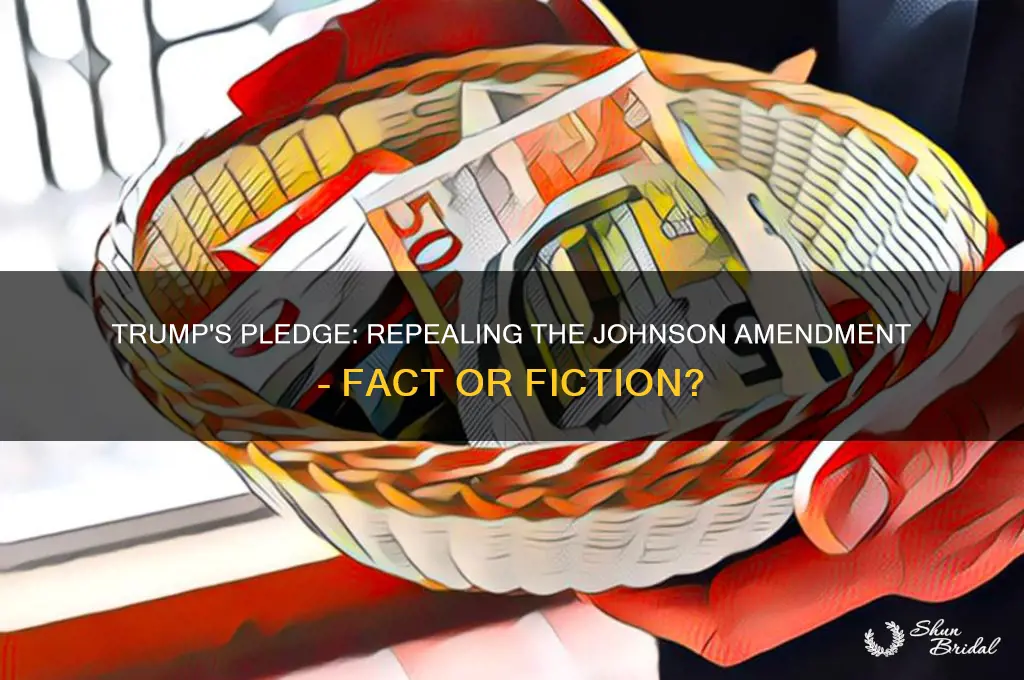 did trump vow to repeal johnson amendment