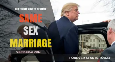 Trump's Promise: Reversing Same-Sex Marriage Rights in America?