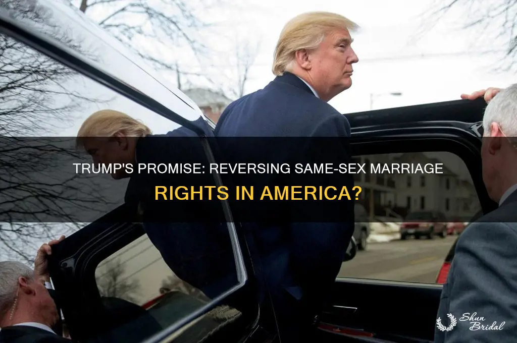 did trump vow to reverse same sex marriage