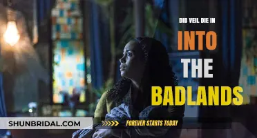 Did Veil Survive in Into the Badlands? Exploring Her Fate