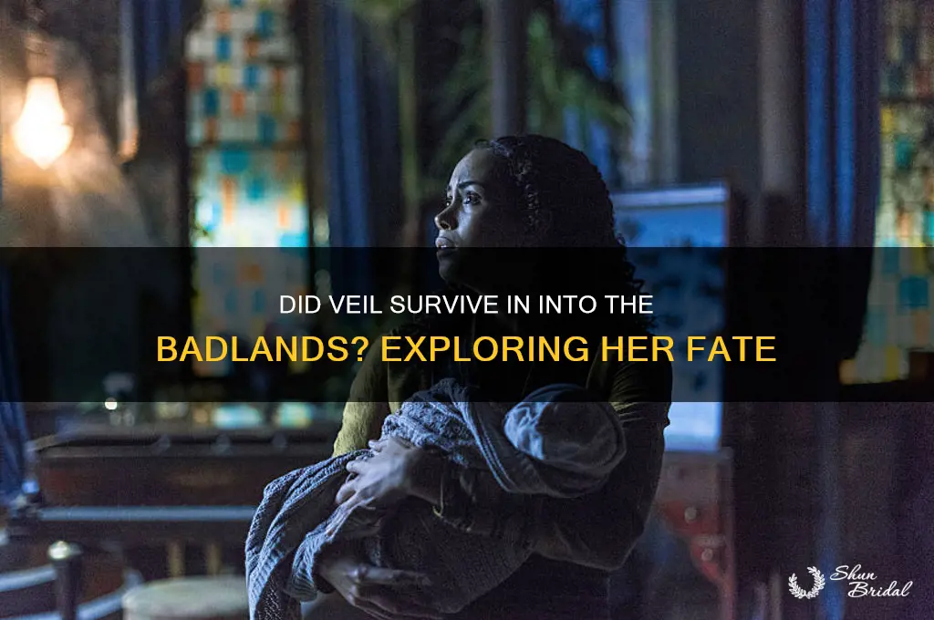 did veil die in into the badlands