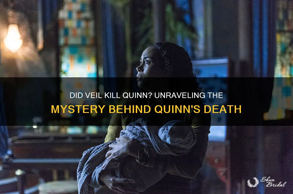did veil kill quinn