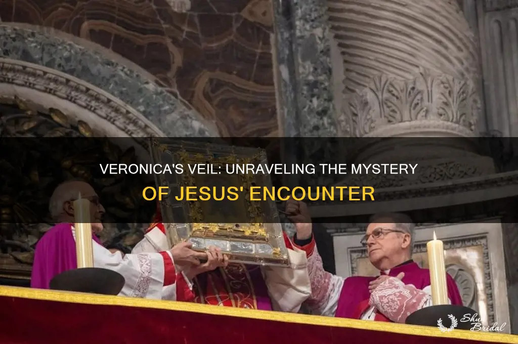 did veronica bring a veil to jesus